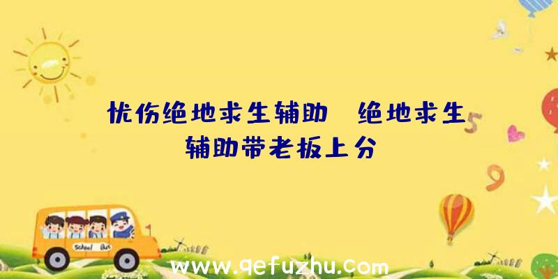 「忧伤绝地求生辅助」|绝地求生辅助带老板上分